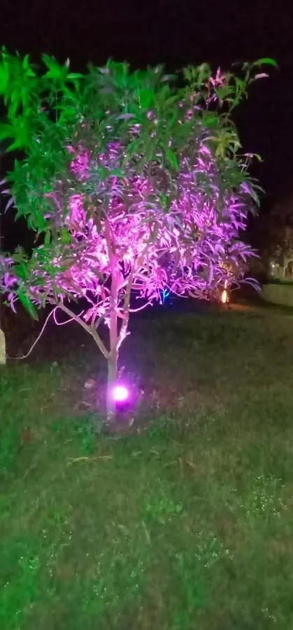 أُودايبور Badi Haveli Resort الهند
